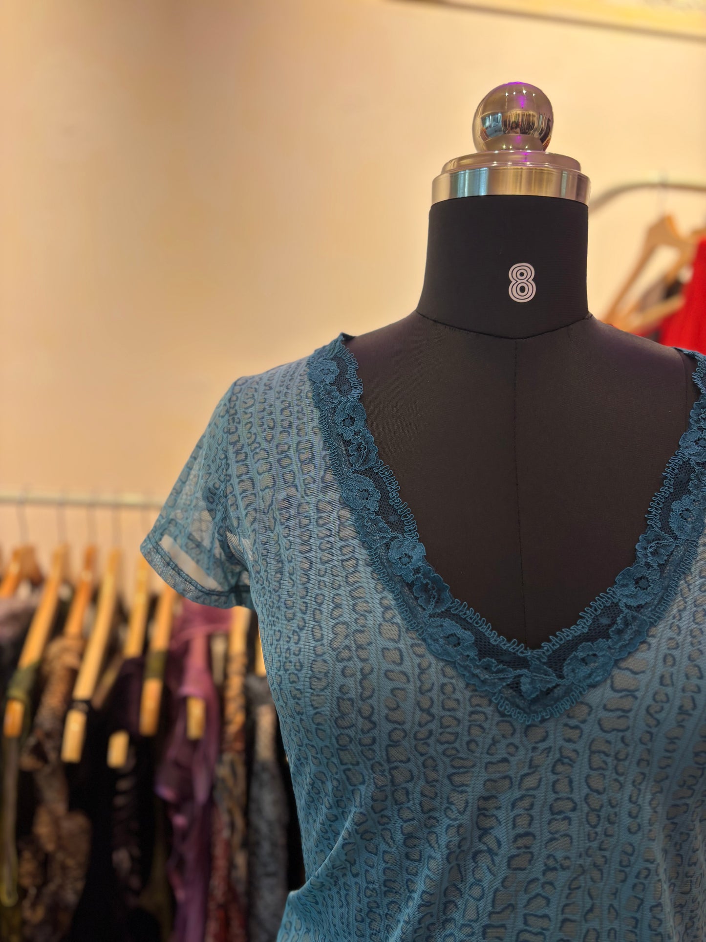 Lacy neckline cat top