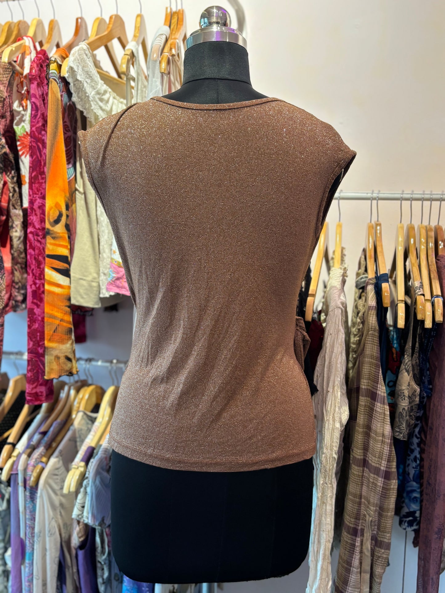 Golden brown shimmer top