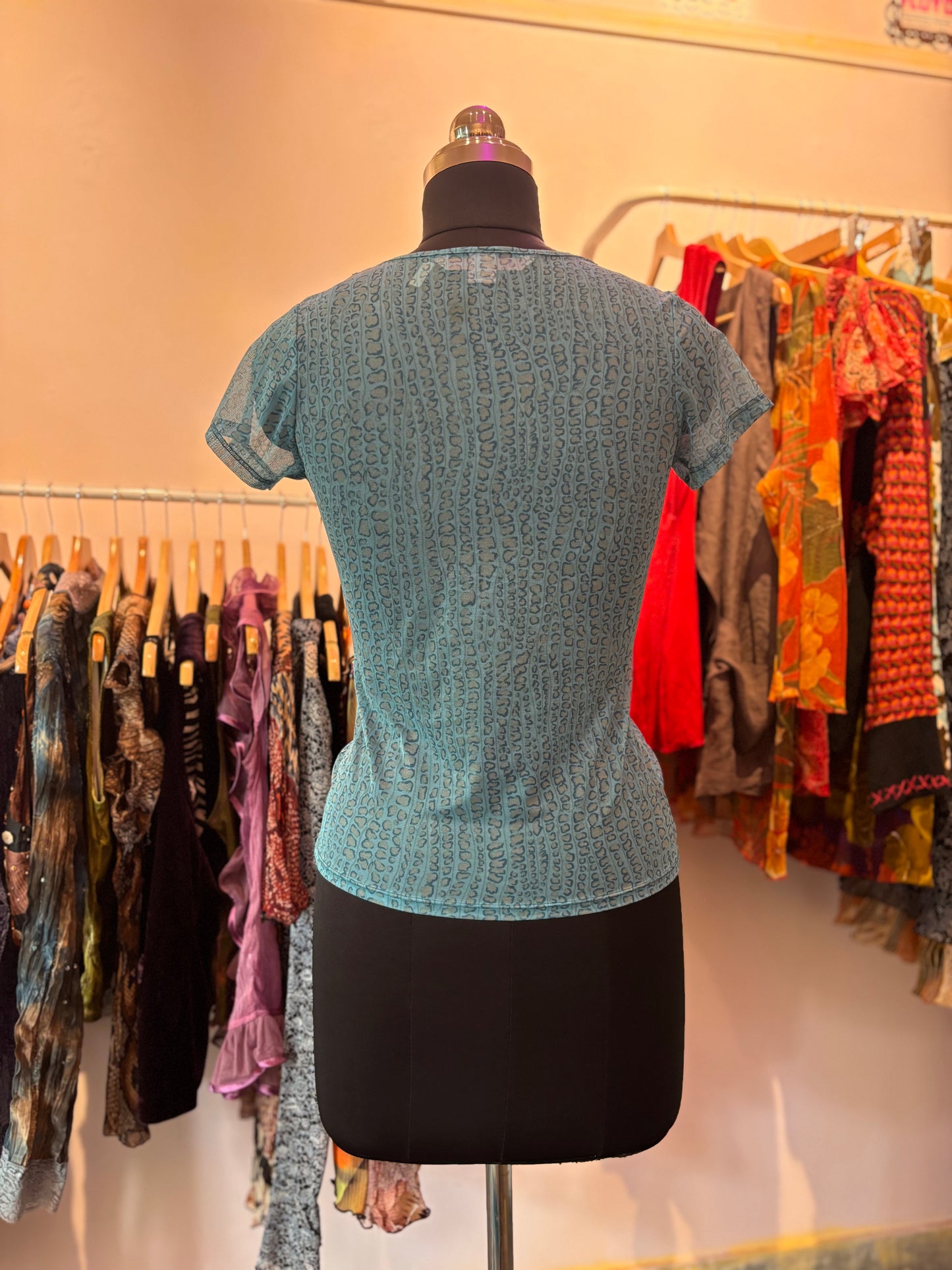 Lacy neckline cat top